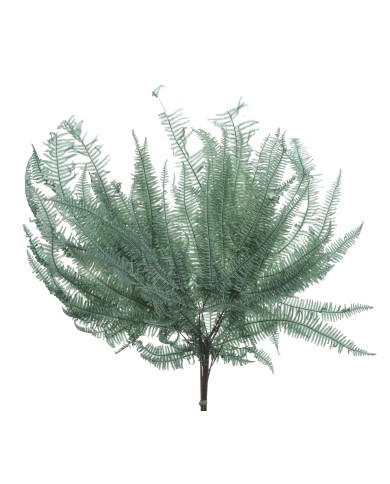 Liść paproci stabilizowany 10szt-pacz - susz..55cmH..50-50 bags..10 pcs-bag....DK.GREEN