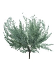 Liść paproci stabilizowany 10szt-pacz - susz..55cmH..50-50 bags..10 pcs-bag....DK.GREEN