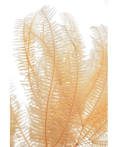 Liść paproci stabilizowany 10szt-pacz - susz..55cmH...WHITE