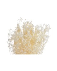 Gipsówka 100g - stabilizowany kwiat..70cmH..1-24 bags..100 g-bag....WHITE