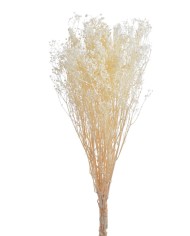 Gipsówka 100g - stabilizowany kwiat..70cmH..1-24 bags..100 g-bag....WHITE