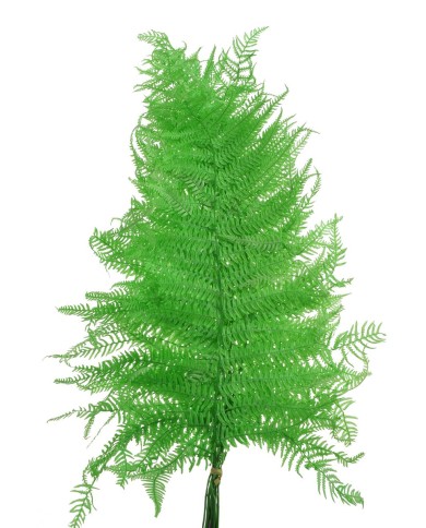 Liść paproci stabilizowany...10szt-pacz..55cmH...New GREEN