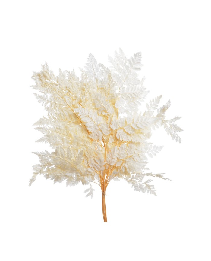 Liść paproci alpejskiej 10szt-pacz - susz..40cmH...WHITE