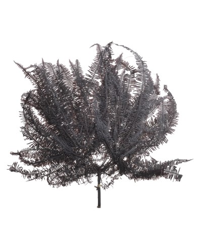 Liść paproci 10szt-pacz - susz..55cmH...BLACK