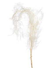 Asparagus stabilizowany 5szt-pacz - susz..100cmH..24-24 bags..5 pcs-bag....WHITE