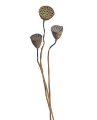 Shola Ball paczka- susz..+-45cmL x 5cmW..12-12 bags..9 pcs-bag....NATURAL