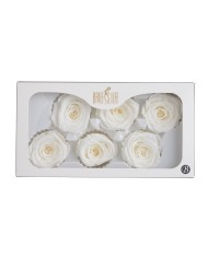 Główki róż stabilizoawanych 6szt-pacz ..5cmØx5cmH..24-24 bags..6 pcs-bag....RED