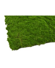 Mata 1m x 2m, imitacja mchu..1m x 2m..10-10 pcs......GREEN