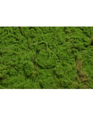 Imitacja mchu 100g-pacz....1-150 bags..100 g-bag....GREEN