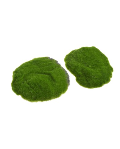 Omszałe kamienie w kartoniku 1kg..Nieregularne np.18cmL x 16cmW x 4cmH..10-1 bags..1kg-bag....006 GREEN