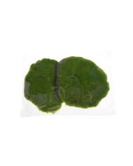 Omszałe kamienie w kartoniku 1kg..Nieregularne np.18cmL x 16cmW x 4cmH..10-1 bags..1kg-bag....006 GREEN