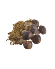 Grzyby sztuczne 4-5cm 6szt-pacz..5cmL x 5,5cmW x 6,5cmH, 3,5cmL x 3,5cmW x 7,5cmH, 4,5cmL x 4cmW x 8cmH..288-36 bags..6 pcs-bag.