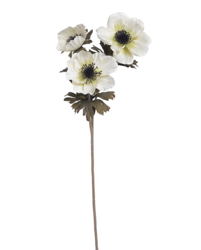 Anemon x3 56cm....192-24 pcs......11 DRY CR