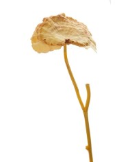 Karczoch x1..74cm..60-12 pcs - sztuczna roślina