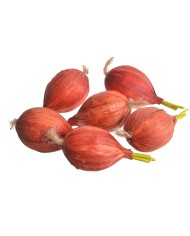 Cebule 6szt/pacz - art. dekoracyjny