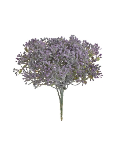 Bylinka krzewinka 6szt/pęczek..23 cm