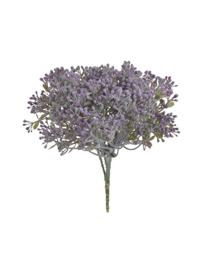 Bylinka krzewinka 6szt/pęczek..23 cm