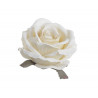 Róża welwetowa główka 6szt/paczka..9cm