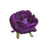 Róża welwetowa główka 6szt/paczka..9cm