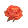 Róża welwetowa główka 6szt/paczka..9cm
