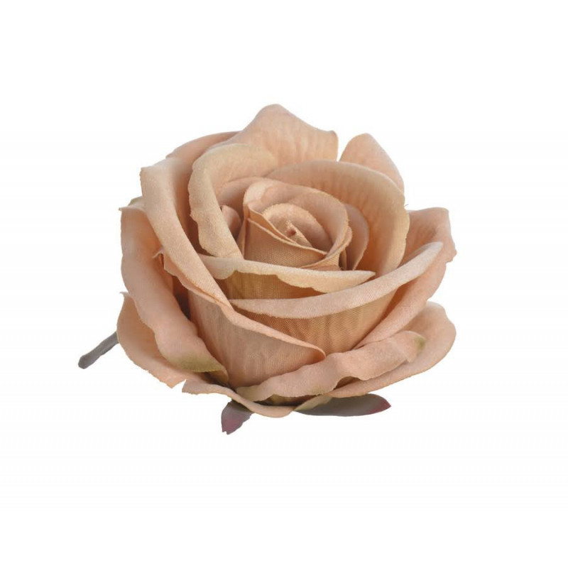 Róża welwetowa główka 6szt/paczka..9cm