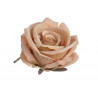 Róża welwetowa główka 6szt/paczka..9cm