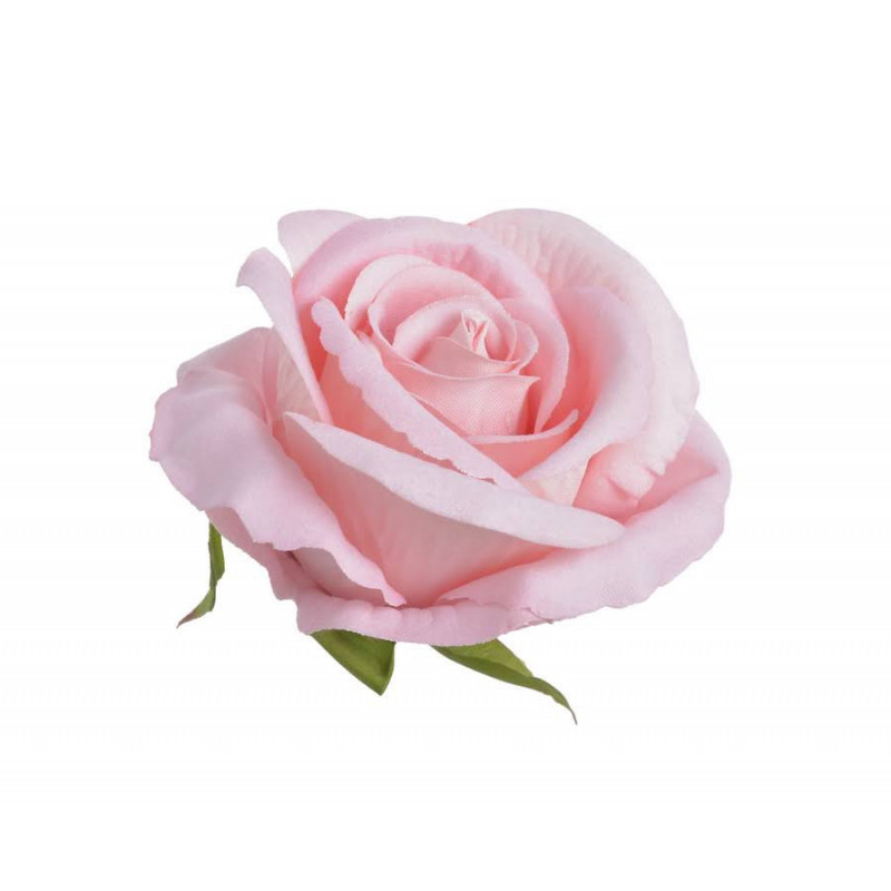 Róża welwetowa główka 6szt/paczka..9cm