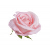 Róża welwetowa główka 6szt/paczka..9cm