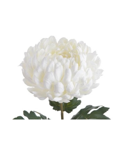 Chryzantema x1 ..73cm..168-24 pcs