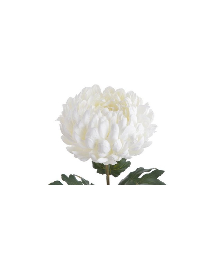 Chryzantema x1 ..73cm..168-24 pcs