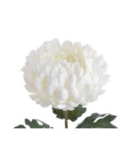 Chryzantema x1 ..73cm..168-24 pcs