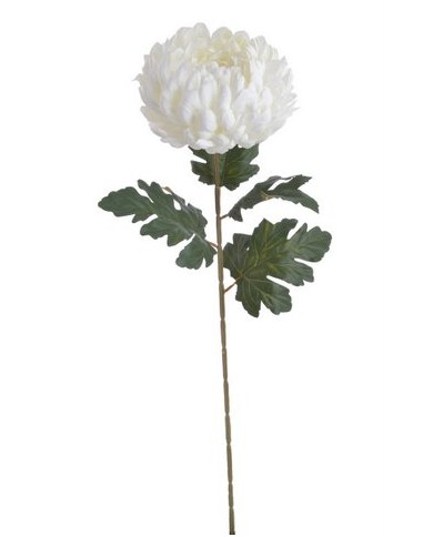 Chryzantema x1 ..73cm..168-24 pcs