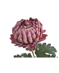 Chryzantema x1 ..73cm..168-24 pcs