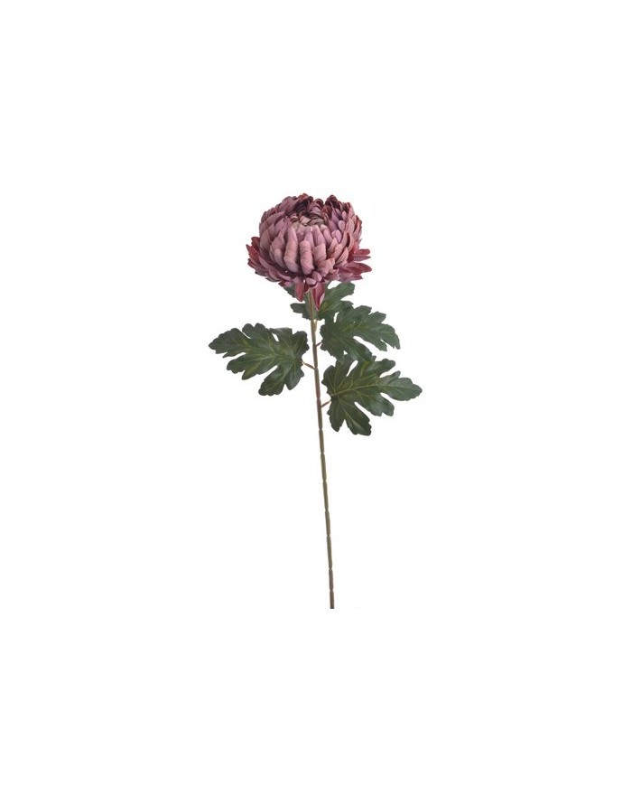 Chryzantema x1 ..73cm..168-24 pcs