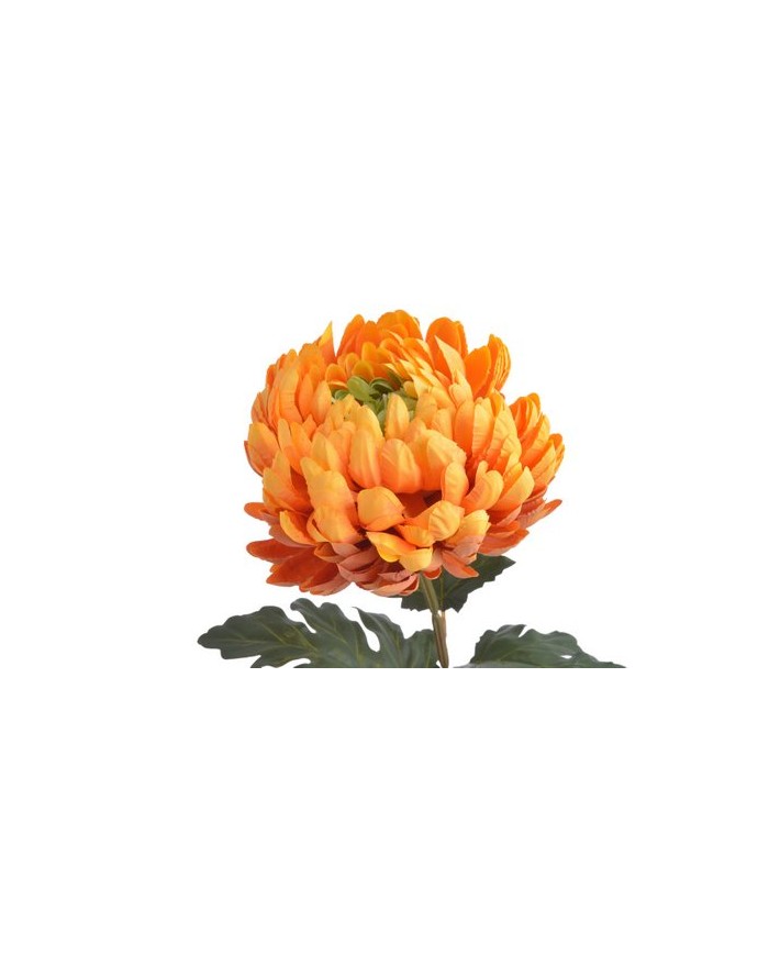 Chryzantema x1 ..73cm..168-24 pcs