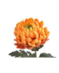 Chryzantema x1 ..73cm..168-24 pcs