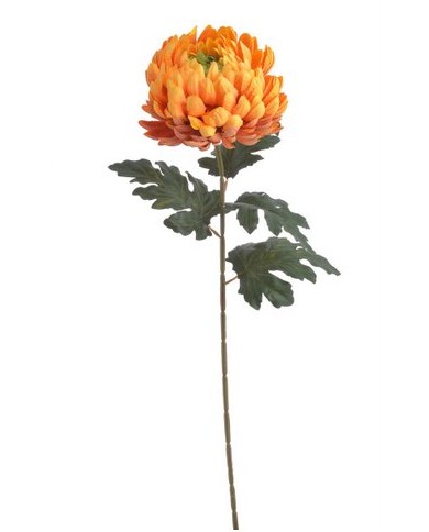 Chryzantema x1 ..73cm..168-24 pcs