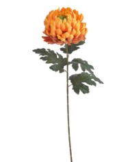 Chryzantema x1 ..73cm..168-24 pcs