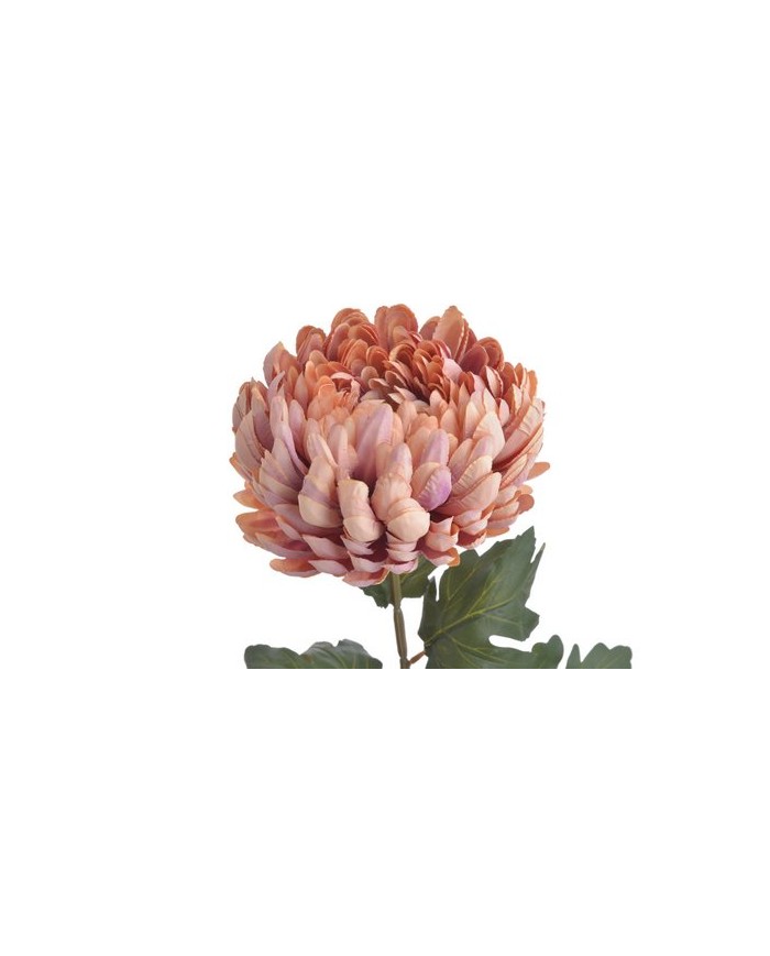 Chryzantema x1 ..73cm..168-24 pcs