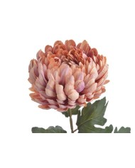 Chryzantema x1 ..73cm..168-24 pcs