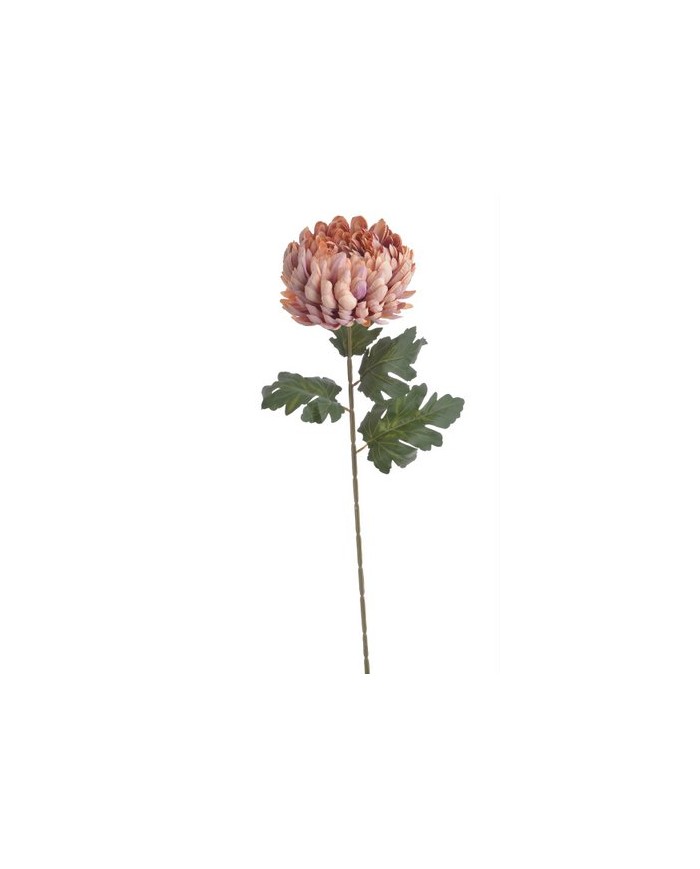 Chryzantema x1 ..73cm..168-24 pcs