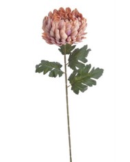 Chryzantema x1 ..73cm..168-24 pcs