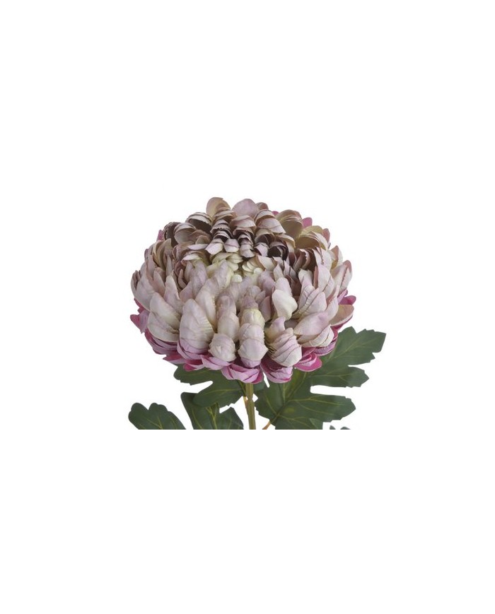 Chryzantema x1 ..73cm..168-24 pcs