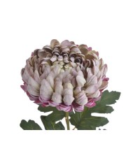 Chryzantema x1 ..73cm..168-24 pcs