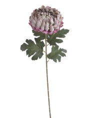 Chryzantema x1 ..73cm..168-24 pcs