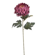 Chryzantema x1 ..73cm..168-24 pcs