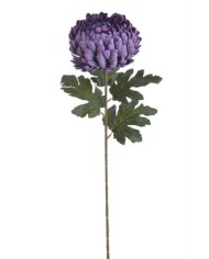 Chryzantema x1 ..73cm..168-24 pcs