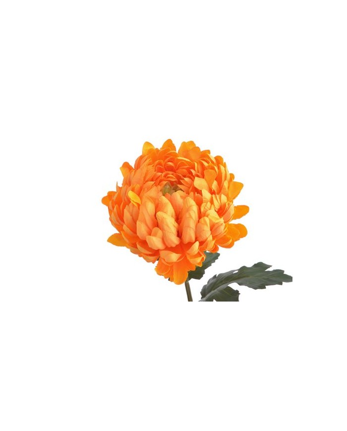 Chryzantema x1 ..73cm..168-24 pcs