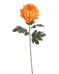 Chryzantema x1 ..73cm..168-24 pcs