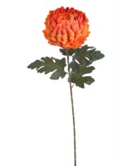 Chryzantema x1 ..73cm..168-24 pcs